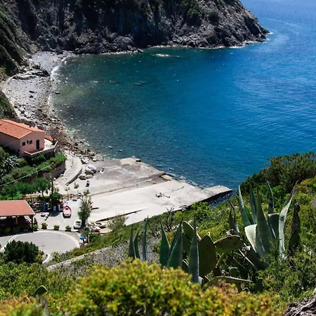 Il Rosmarino